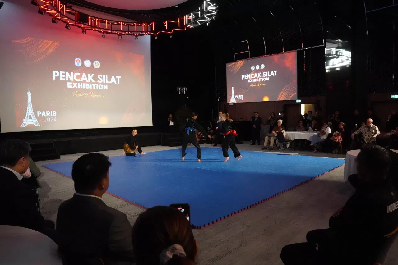 photo_6138647704084003679_y-3570418322